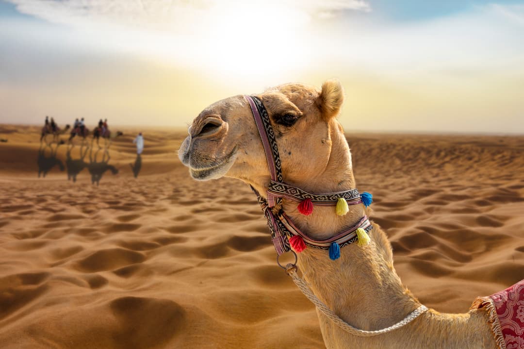 Ägypten bietet ganzjährig Sonne, doch das Wetter unterscheidet sich je nach Region und Jahreszeit.