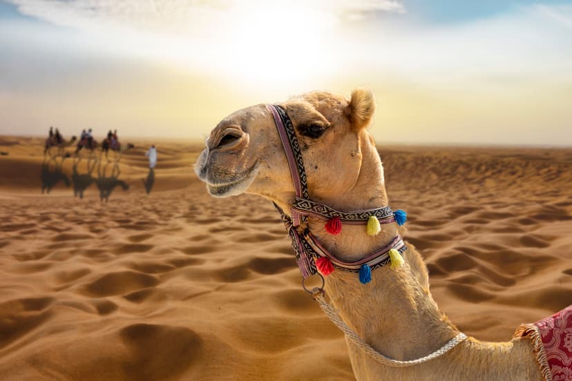 Wetter in Ägypten: Klima, Temperaturen und beste Reisezeit im Überblick
