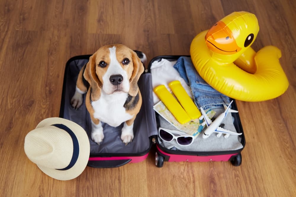 Auslandskrankenversicherung ist im Urlaub unverzichtbar