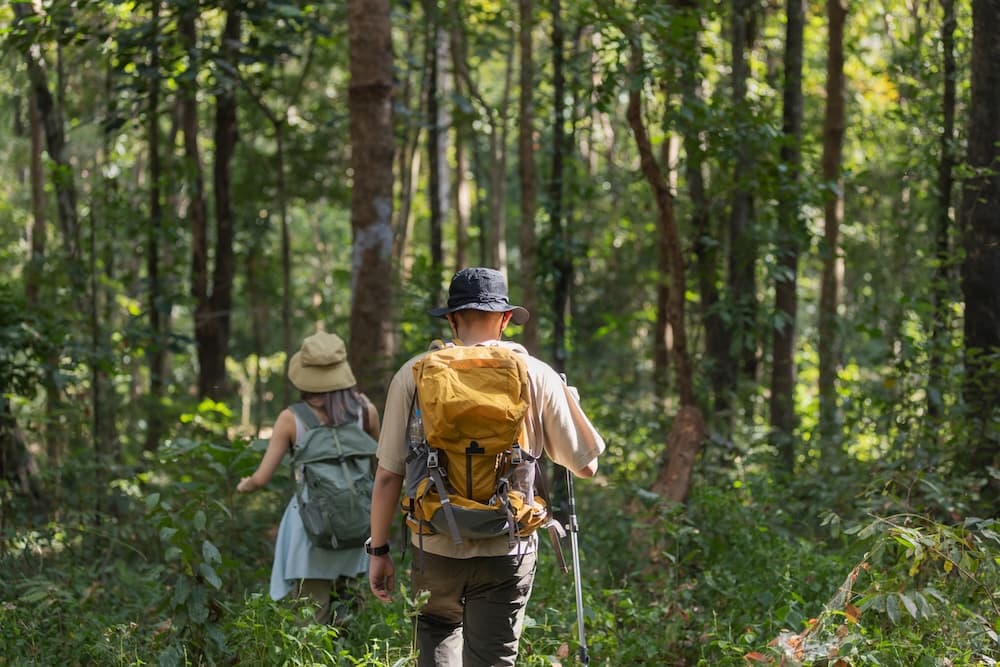 Bei Ausflügen in den Dschungel sollten Sie festes Schuhwerk tragen