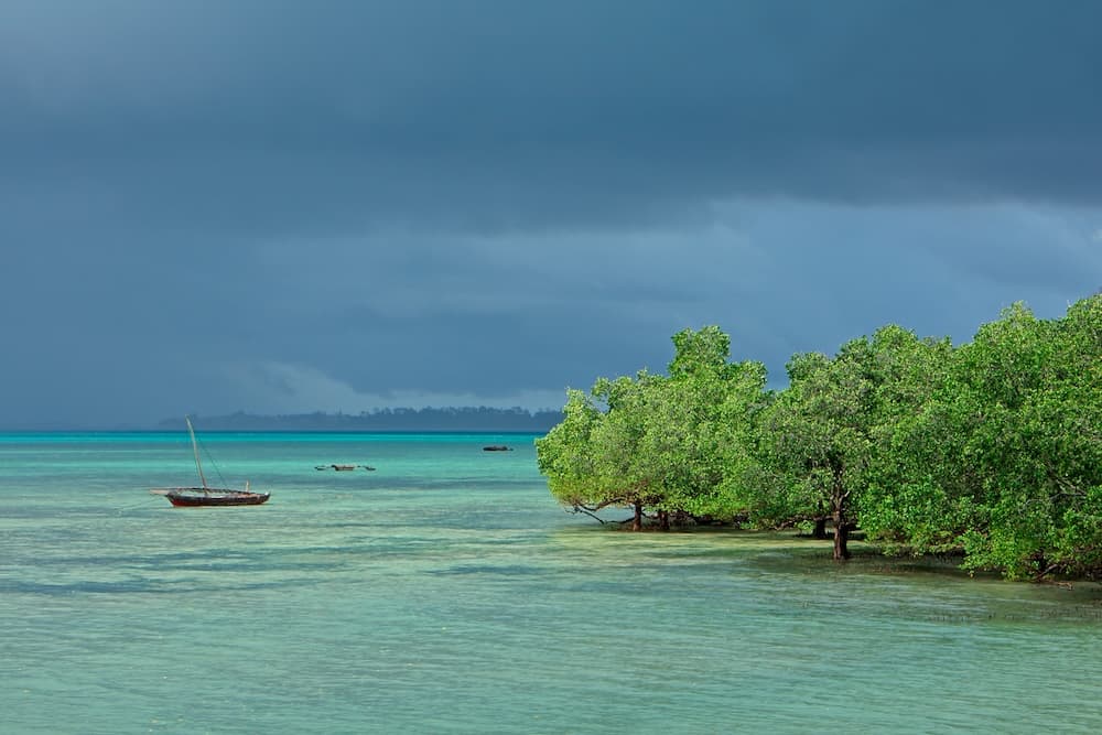 Sansibar hat ein tropisches Klima mit zwei Regenzeiten.