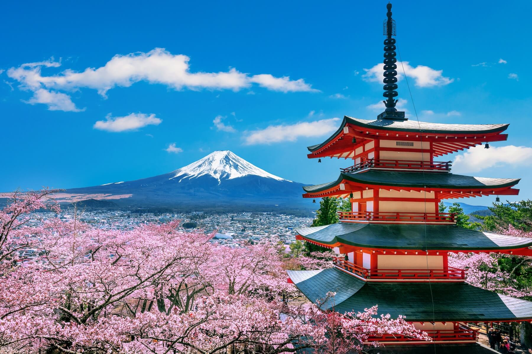 Fuji-san – Japans heiliger Berg